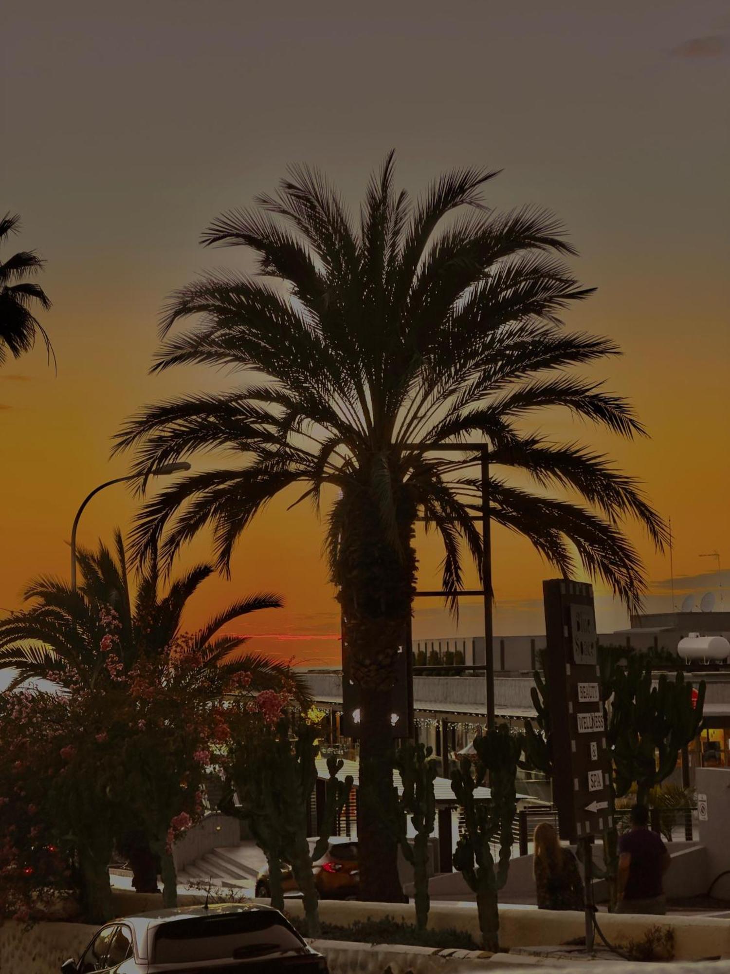 Apartment Paraisol Bmb Costa Adeje (Tenerife)